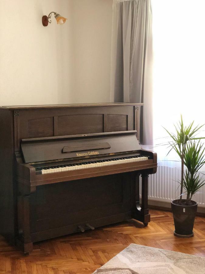 Musik Apartments Old Town Сібіу Екстер'єр фото